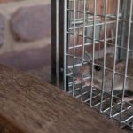 害虫・害獣の代表的な3種類とそれぞれが及ぼす被害