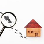 シロアリ駆除を行う際の最適な季節とタイミングとは